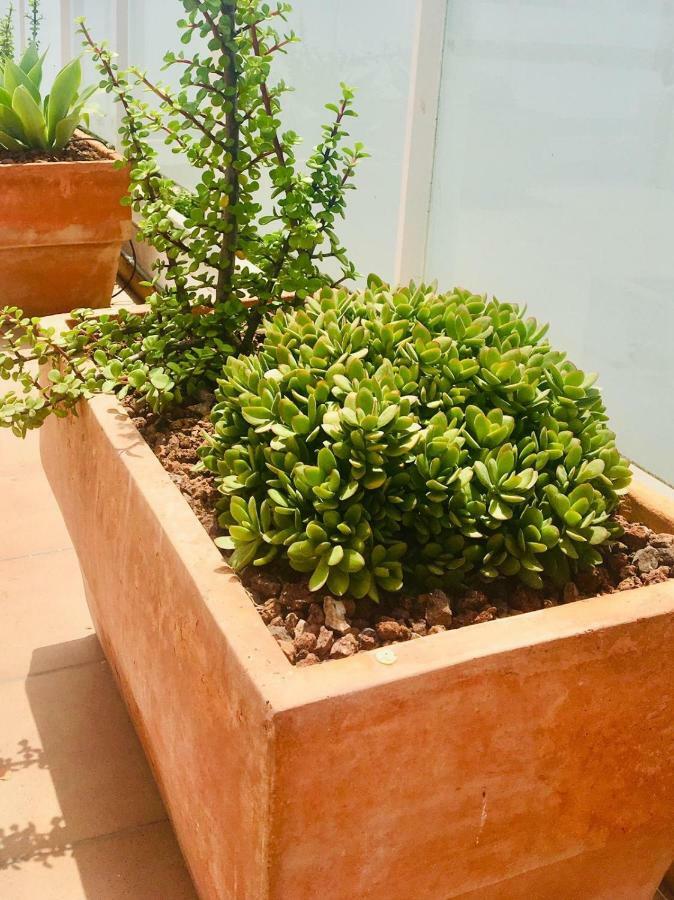 Penthouse La Paz 9 - Castle View Διαμέρισμα Moraira Εξωτερικό φωτογραφία